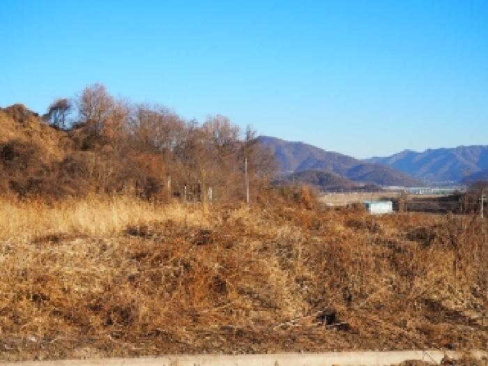 경남 밀양시 초동면 전답 경매 물건 사진 3 · 2025타경2359