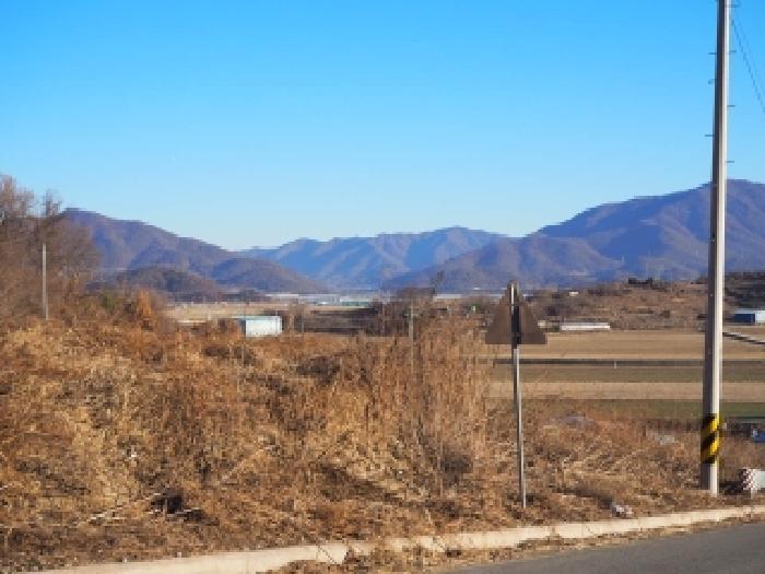 경남 밀양시 초동면 전답 경매 물건 사진 4 · 2025타경2359