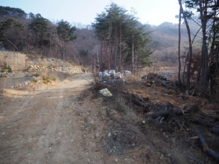 경남 밀양시 단장면 전 경매 물건 사진 4 · 2025타경2397