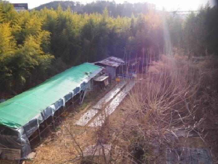 경남 밀양시 교동 전답 경매 물건 사진 5 · 2025타경2465