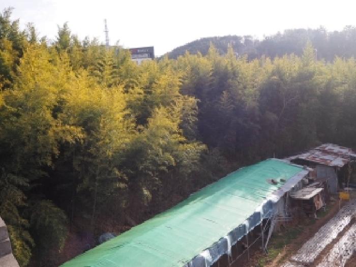 경남 밀양시 교동 전답 경매 물건 사진 6 · 2025타경2465