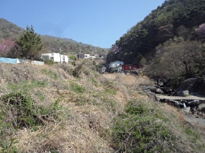경남 밀양시 삼랑진읍 답 경매 물건 사진 4 · 2025타경445