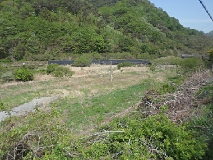 경남 밀양시 단장면 답 경매 물건 사진 3 · 2025타경636