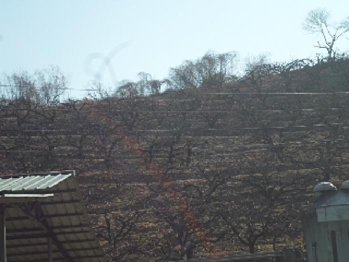 경남 창녕군 장마면 전답 경매 물건 사진