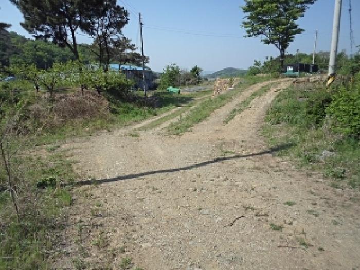 경남 창녕군 도천면 답 경매 물건 사진