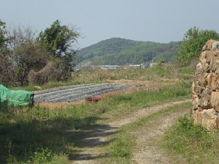 경남 창녕군 도천면 답 경매 물건 사진 3 · 2025타경711