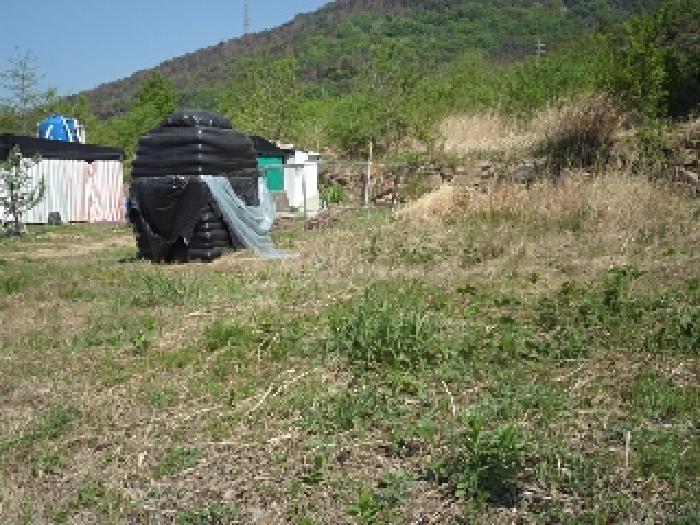 경남 창녕군 도천면 답 경매 물건 사진 5 · 2025타경711