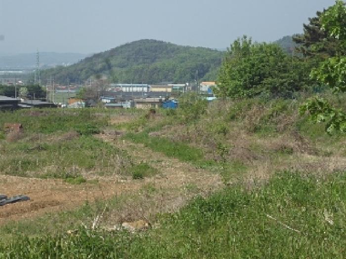 경남 창녕군 도천면 답 경매 물건 사진 6 · 2025타경711