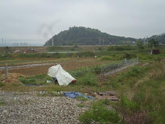 경남 밀양시 용평동 답 경매 물건 사진 2 · 2025타경834