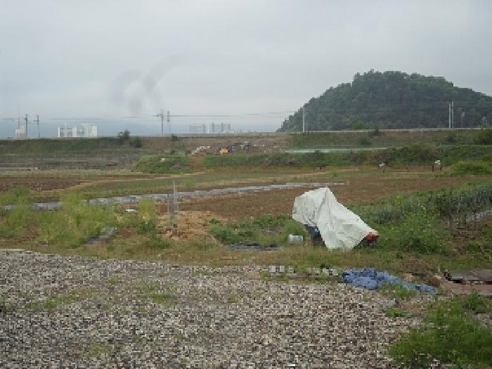 경남 밀양시 용평동 답 경매 물건 사진 3 · 2025타경834