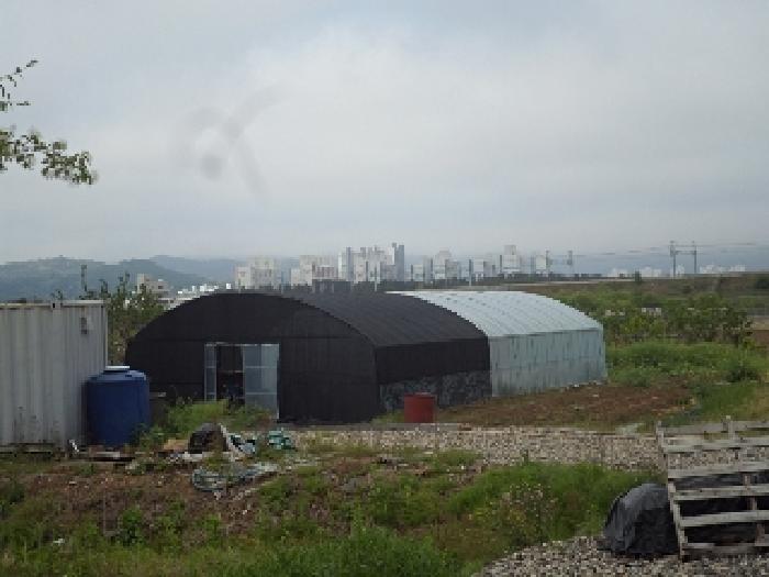 경남 밀양시 용평동 답 경매 물건 사진 4 · 2025타경834