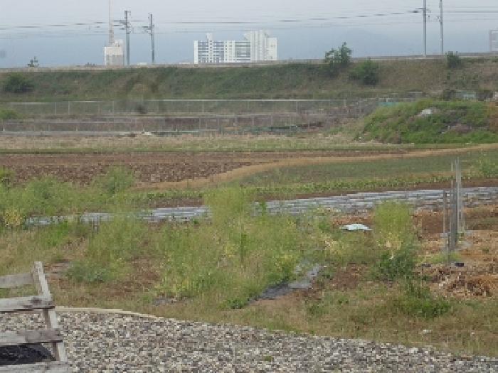 경남 밀양시 용평동 답 경매 물건 사진 5 · 2025타경834