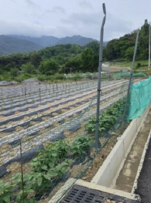 경남 창녕군 창녕읍 전 경매 물건 사진