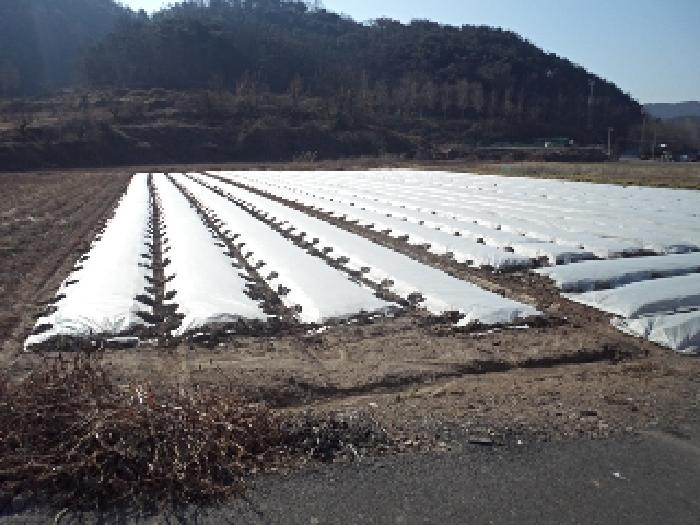경남 창녕군 유어면 답 경매 물건 사진