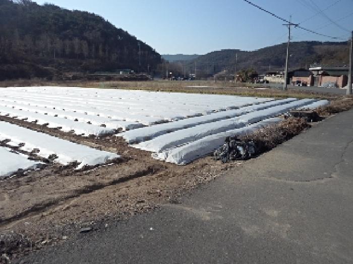 경남 창녕군 유어면 답 경매 물건 사진 2 · 2025타경87