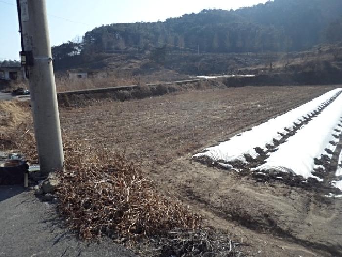 경남 창녕군 유어면 답 경매 물건 사진 3 · 2025타경87
