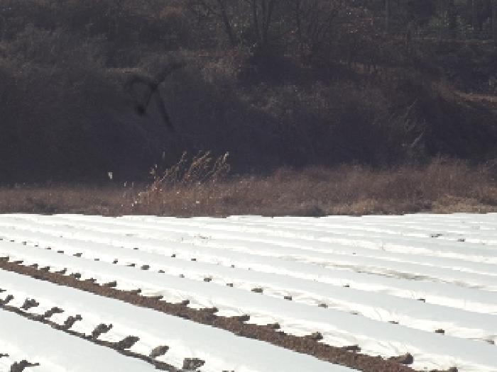 경남 창녕군 유어면 답 경매 물건 사진 6 · 2025타경87