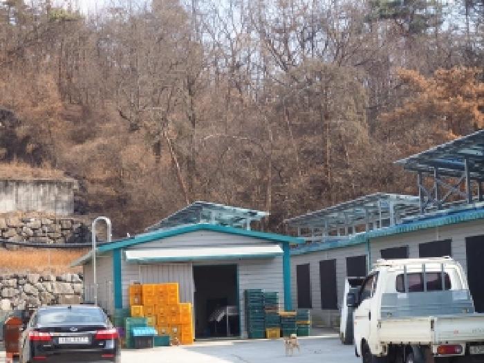 경남 밀양시 상남면 동물및식물관련시설 경매 물건 사진 2 · 2026타경100