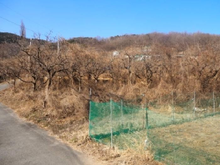경남 밀양시 산내면 전답 경매 물건 사진