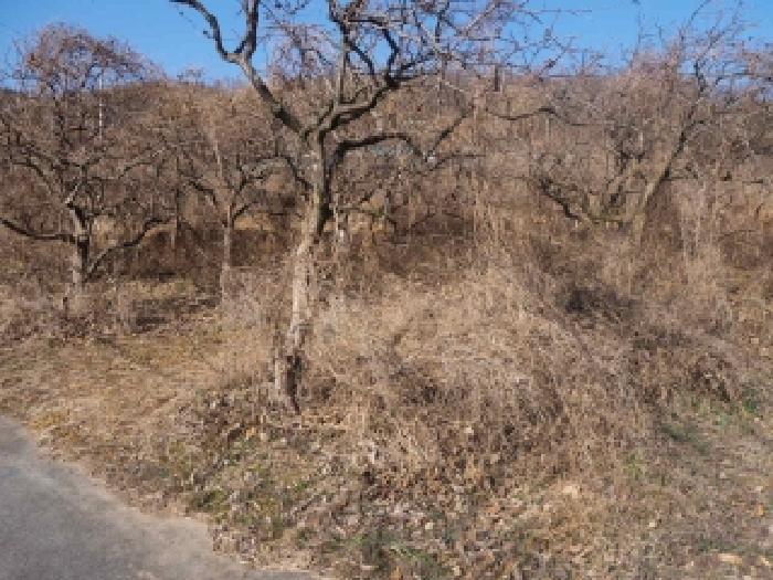 경남 밀양시 산내면 전답 경매 물건 사진 4 · 2026타경10001