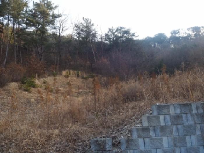 경남 창녕군 부곡면 도로 경매 물건 사진 2 · 2026타경10031
