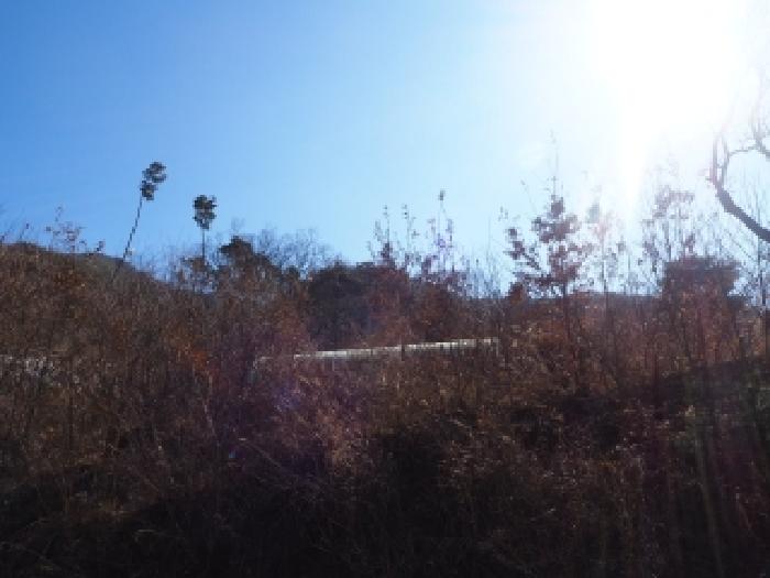 경남 밀양시 단장면 전 경매 물건 사진 6 · 2026타경10033