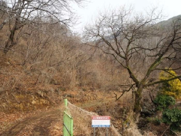 경남 밀양시 단장면 전답 경매 물건 사진