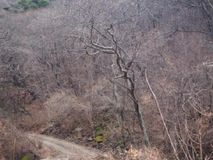 경남 밀양시 단장면 전답 경매 물건 사진 4 · 2026타경10045