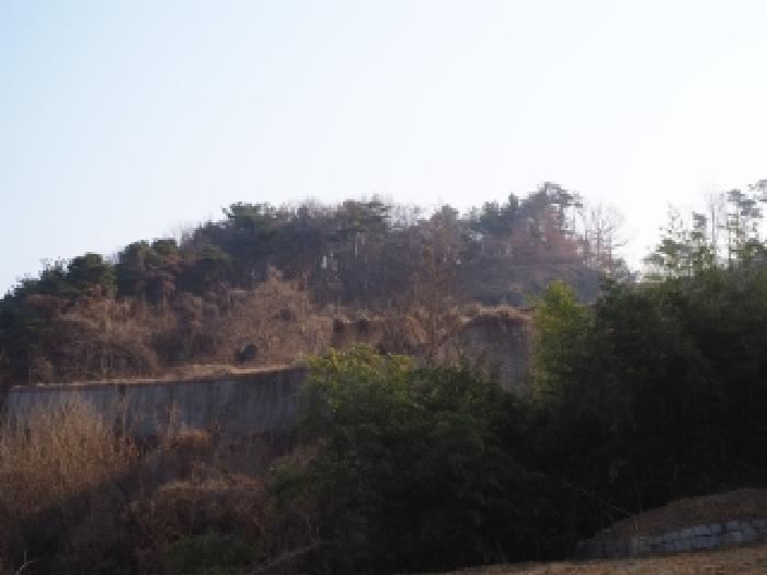 경남 밀양시 삼랑진읍 임야 경매 물건 사진 4 · 2026타경10053