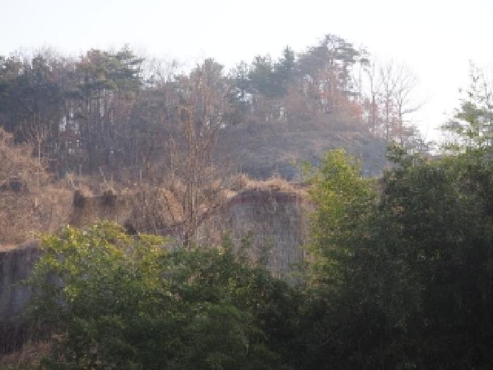 경남 밀양시 삼랑진읍 임야 경매 물건 사진 5 · 2026타경10053