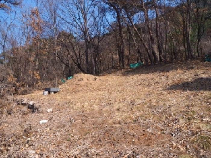 경남 밀양시 상동면 임야 경매 물건 사진