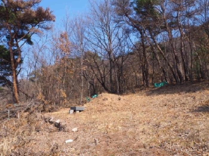 경남 밀양시 상동면 임야 경매 물건 사진 2 · 2026타경10060