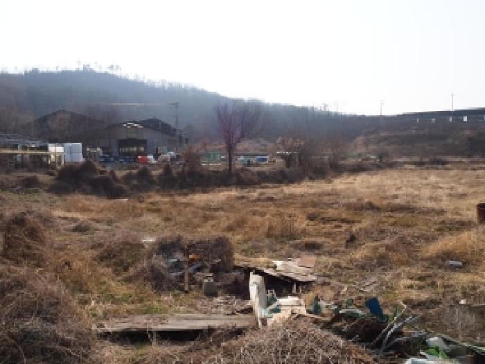 경남 창녕군 영산면 동물및식물관련시설 경매 물건 사진