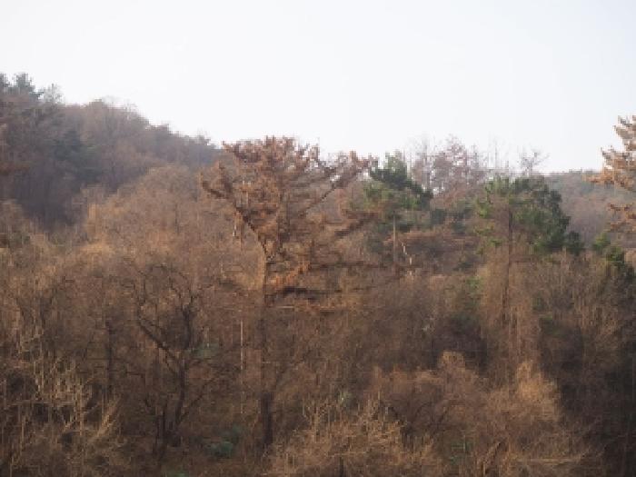 경남 밀양시 상남면 전답 경매 물건 사진 6 · 2026타경10070
