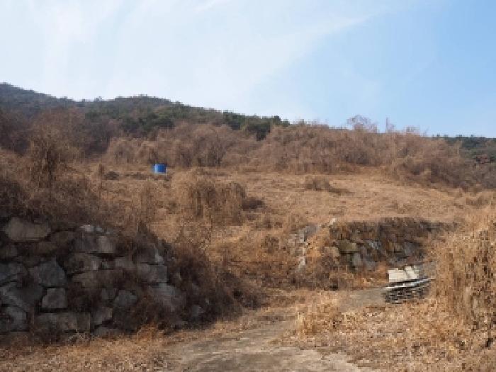 경남 창녕군 부곡면 임야 경매 물건 사진 5 · 2026타경10073