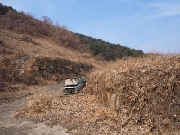 경남 창녕군 부곡면 임야 경매 물건 사진 6 · 2026타경10073