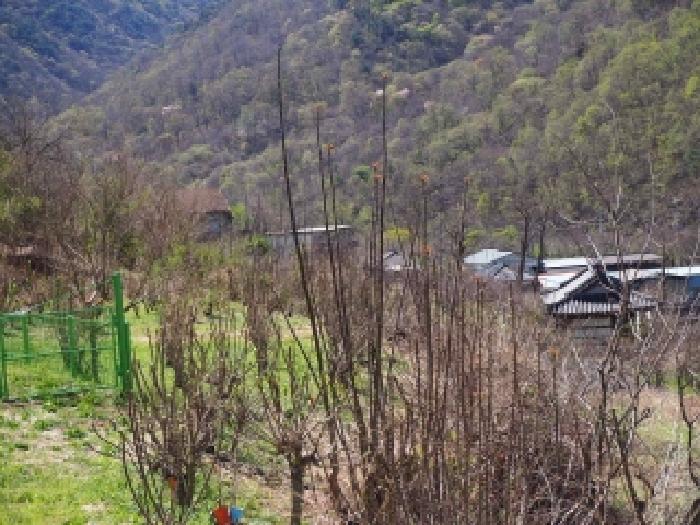 경남 밀양시 단장면 전답 경매 물건 사진 4 · 2026타경10085