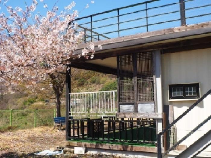 경남 밀양시 단장면 근린생활시설 경매 물건 사진