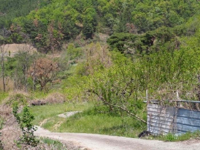 경남 창녕군 부곡면 창고시설 경매 물건 사진 2 · 2026타경10102