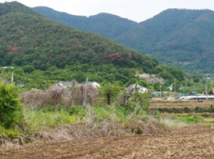 경남 밀양시 단장면 답 경매 물건 사진 4 · 2026타경10138