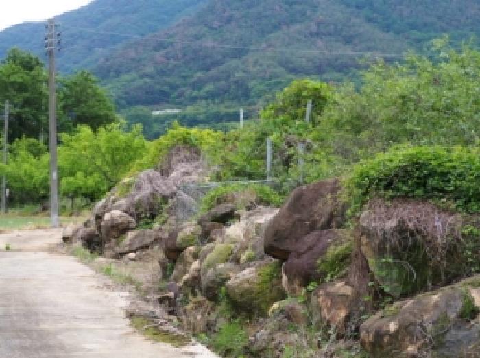 경남 밀양시 단장면 답 경매 물건 사진 5 · 2026타경10138