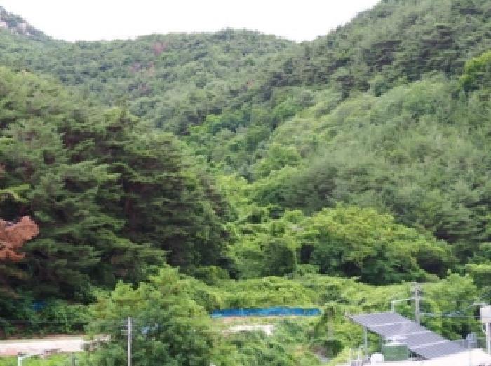 경남 창녕군 창녕읍 임야 경매 물건 사진 3 · 2026타경10167