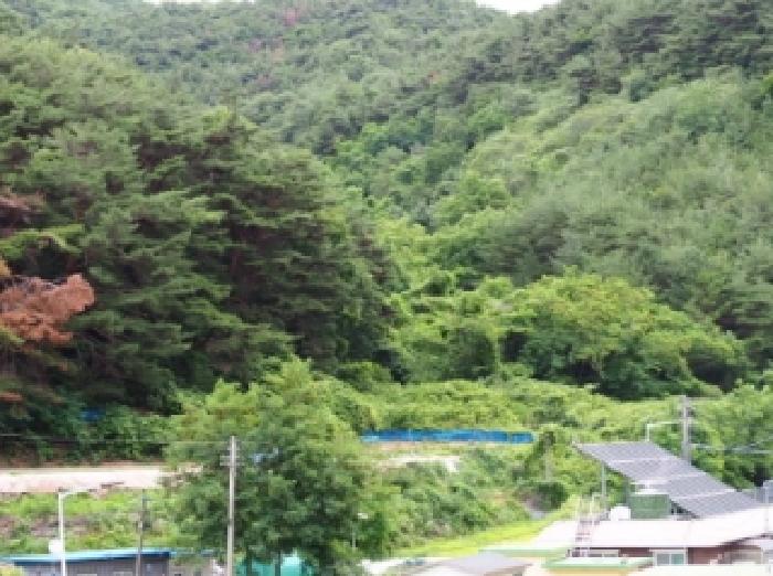 경남 창녕군 창녕읍 임야 경매 물건 사진