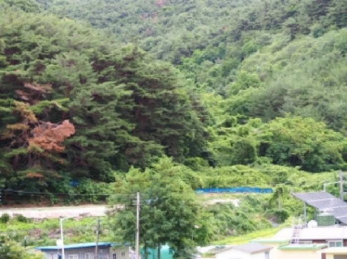 경남 창녕군 창녕읍 임야 경매 물건 사진 2 · 2026타경10167