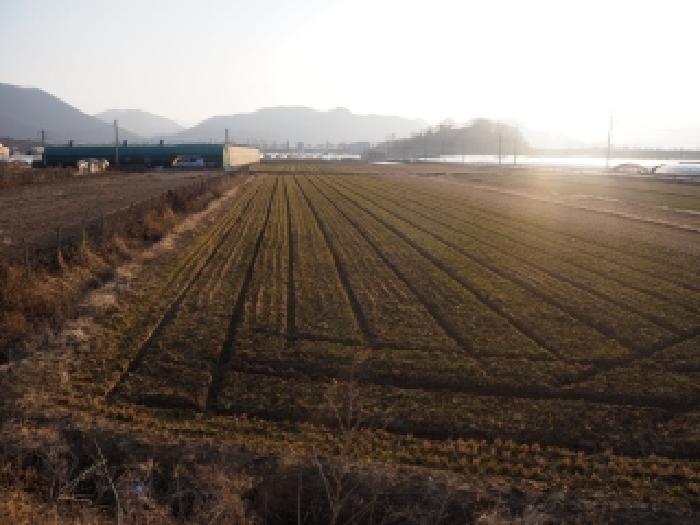 경남 밀양시 상남면 전답 경매 물건 사진 3 · 2026타경124