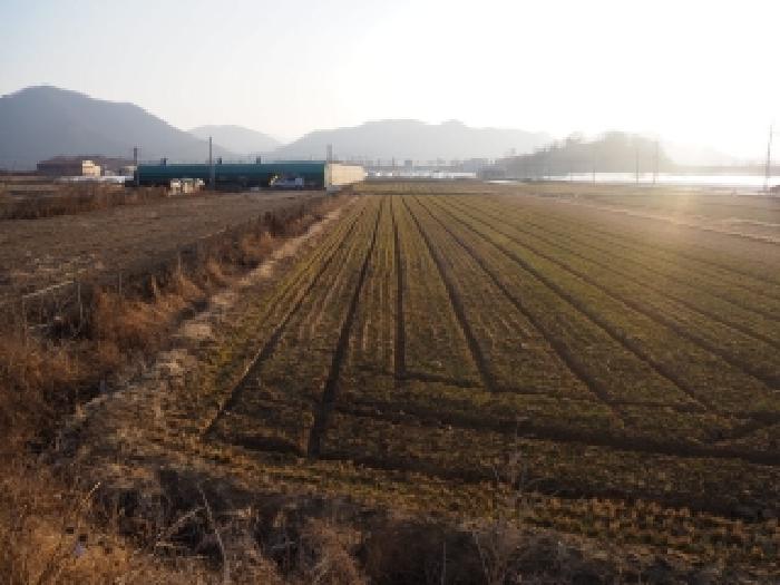 경남 밀양시 상남면 전답 경매 물건 사진 4 · 2026타경124