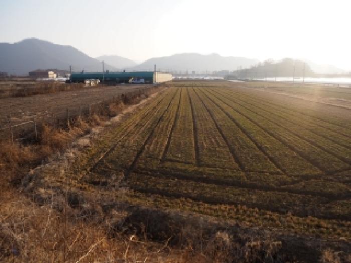 경남 밀양시 상남면 전답 경매 물건 사진