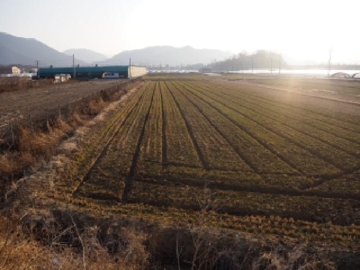 경남 밀양시 상남면 전답 경매 물건 사진 2 · 2026타경124