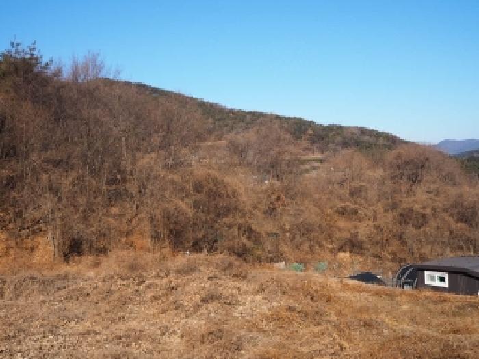 경남 밀양시 단장면 임야 경매 물건 사진