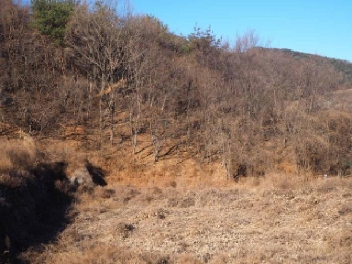 경남 밀양시 단장면 임야 경매 물건 사진 2 · 2026타경155